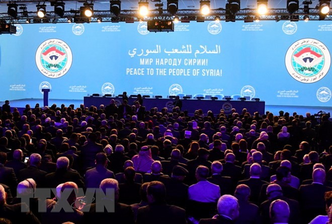 A Sotchi, le sommet sur la Syrie adopte une déclaration en 12 points - ảnh 1
