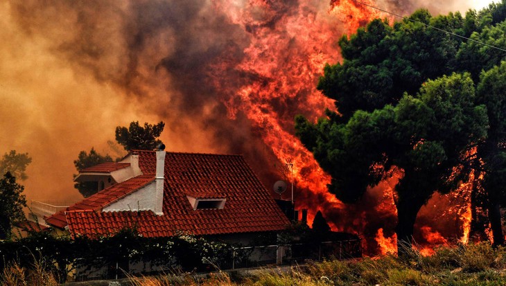 Au moins 50 morts dans de violents incendies en Grèce - ảnh 1