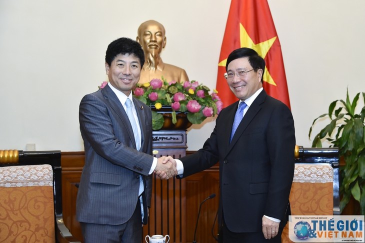 Pham Bình Minh reçoit un diplomate japonais - ảnh 1