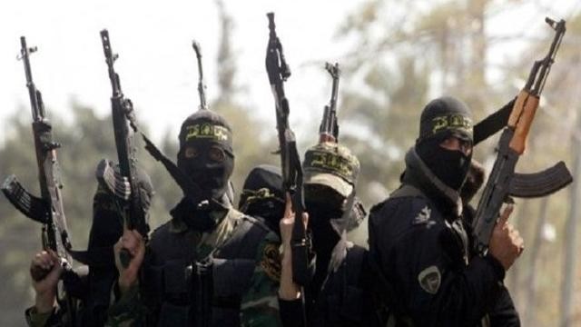 Plus de 20.000 combattants de Daesh se trouveraient toujours en Irak et en Syrie - ảnh 1