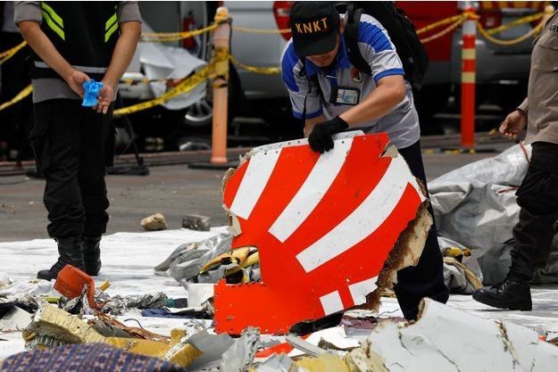 Accident d'avion en Indonésie: les plongeurs continuent de repêcher des débris  - ảnh 1