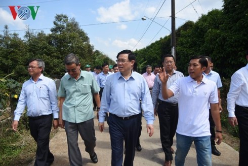 Vuong Dinh Huê: Dông Nai doit allier industrialisation et urbanisation - ảnh 1
