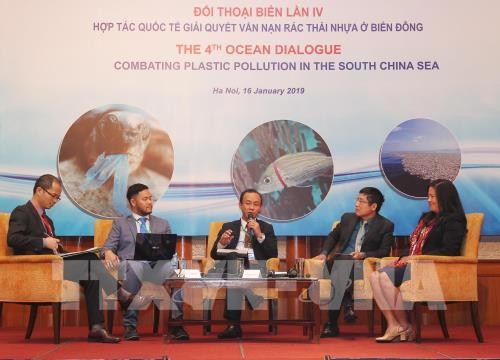 Mer Orientale: Coopération internationale dans le traitement des déchets en plastique - ảnh 1