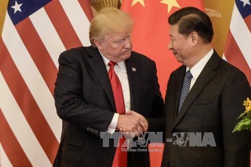 Une rencontre Trump-Xi probable en mars   - ảnh 1