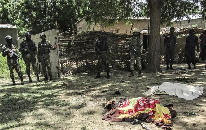 Cameroun: au moins 26 morts après une attaque de Boko Haram - ảnh 1