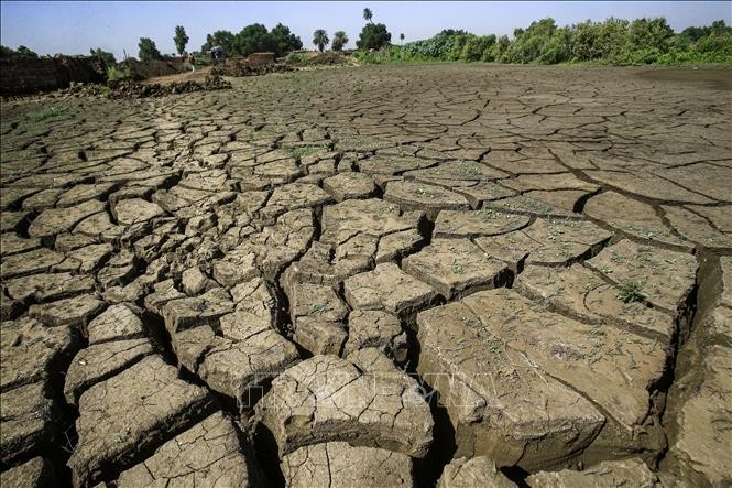 L'ONU met en garde contre l'aggravation de la sécheresse dans la Corne de l'Afrique - ảnh 1
