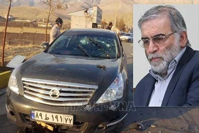 L'Iran inculpe 14 personnes pour l'assassinat en 2020 d'un physicien nucléaire - ảnh 1