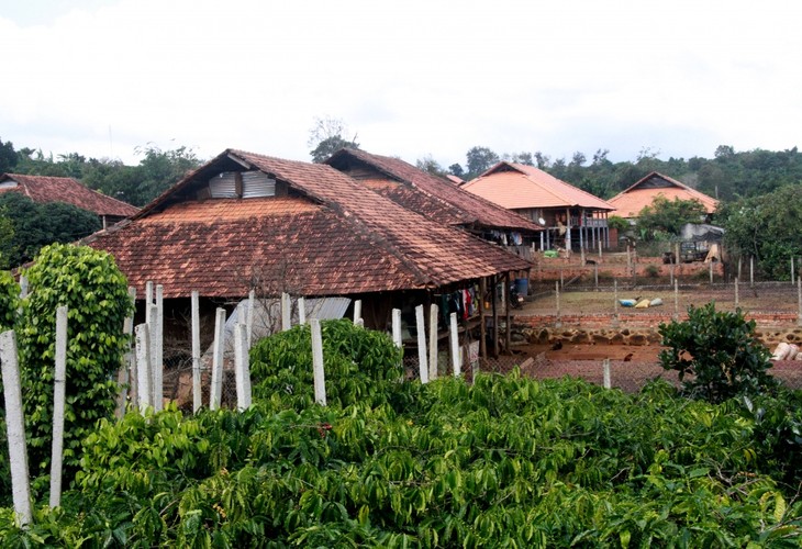 Un village culturel de Nùng An sur les Hauts plateaux du Centre - ảnh 1