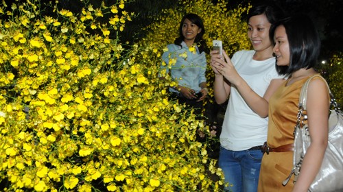 Khai mạc Hội hoa xuân Nhâm Thìn 2012 - ảnh 1
