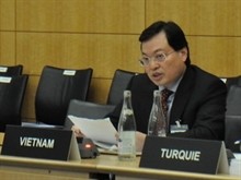 Việt Nam – thành viên tích cực và nhiều triển vọng của OECD - ảnh 1