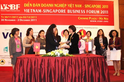 Trao đổi thương mại và đầu tư giữa Singapore và Việt Nam tiếp tục tăng - ảnh 1