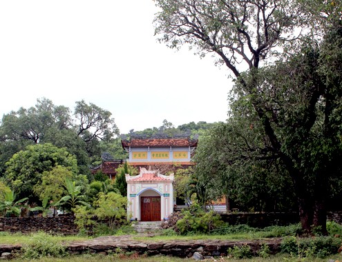 Phú Yên: Công nhận 20 cây xoài chùa Từ Quang là cây di sản Việt Nam - ảnh 1