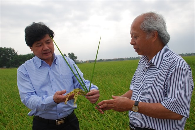 Việt Nam phát triển nông nghiệp theo hướng bền vững - ảnh 1