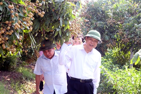 Phó Thủ tướng Vũ Văn Ninh kiểm tra việc thực hiện xây dựng nông thôn mới tại Hưng Yên - ảnh 1