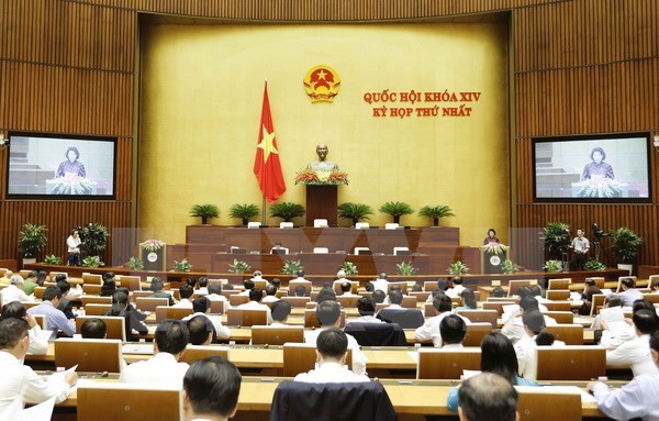Quốc hội Việt Nam chủ động , tích cực thúc đẩy thực hiện các mục tiêu phát triển bền vững  - ảnh 1