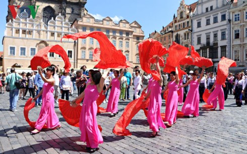 Việt Nam tham dự Lễ hội văn hóa các dân tộc thiểu số toàn Czech 2017 - ảnh 3