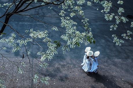 “Góc nhỏ Hà Nội” của nghệ sĩ nhiếp ảnh Nguyễn Xuân Chính - ảnh 1