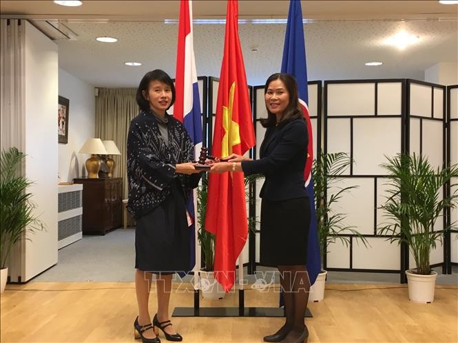 Đại sứ Việt Nam Ngô Thị Hòa chủ trì họp phiên thường kỳ Ủy ban ASEAN tại La Hay tháng 9/2018 - ảnh 2