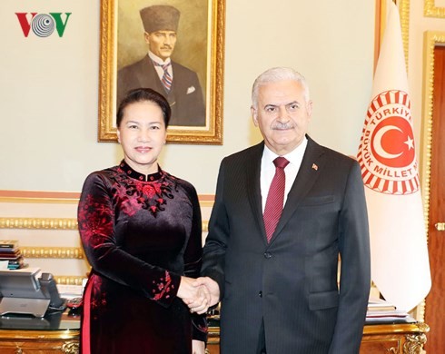 Chủ tịch Quốc hội Nguyễn Thị Kim Ngân hội đàm với Chủ tịch Quốc hội Thổ Nhĩ Kỳ - ảnh 3