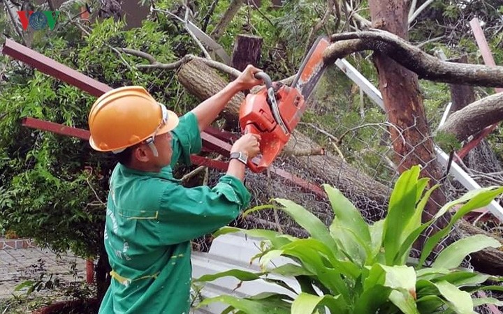 Các địa phương phía Nam tích cực khắc phục hậu quả của bão Usagi - ảnh 1
