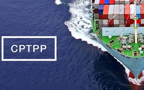 CPTPP cầu nối hội nhập kinh tế hai bờ Thái Bình Dương - ảnh 1