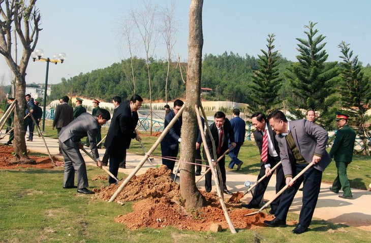 Mùa xuân gieo trồng của làng Việt - ảnh 2