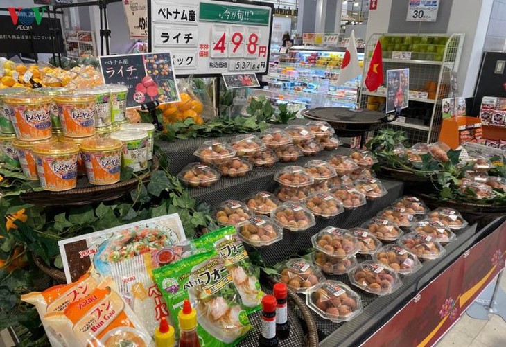 Vải tươi Việt Nam lần đầu lên kệ siêu thị ở Nhật Bản - ảnh 1