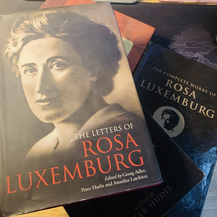 Quỹ Rosa Luxemburg – Đối tác thân thiết của các cơ quan Chính phủ và Quốc hội Việt Nam - ảnh 2