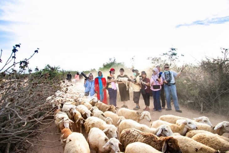 Đồng bào Chăm ở Ninh Thuận phát triển du lịch cộng đồng gắn với quảng bá văn hóa dân tộc - ảnh 2