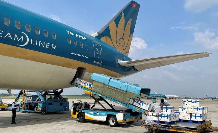 Nhật báo Nikkei: Vận tải hàng hóa đường hàng không của Việt Nam tăng tốc bất chấp đại dịch - ảnh 1