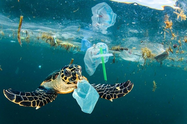 Việt Nam nỗ lực giải quyết vấn đề ô nhiễm chất thải nhựa và rác thải nhựa đại dương - ảnh 1
