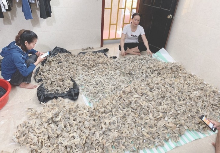 Hiệu quả bước đầu từ nghề nuôi chim yến tại huyện Chư Sê, tỉnh Gia Lai - ảnh 2
