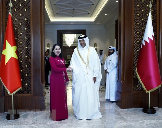 Việt Nam mong muốn thúc đẩy quan hệ hợp tác toàn diện với Qatar - ảnh 1