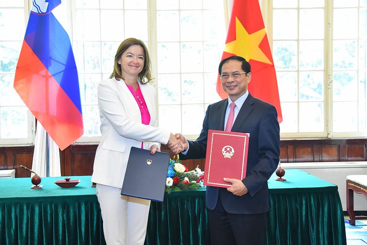 Tăng cường quan hệ hữu nghị và hợp tác nhiều mặt giữa Việt Nam và Slovenia  - ảnh 1
