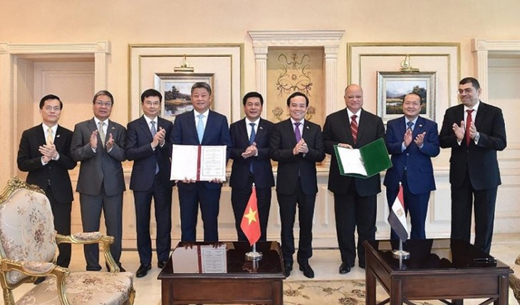 Thúc đẩy hợp tác kinh tế và thương mại Việt Nam - Ai Cập - ảnh 1