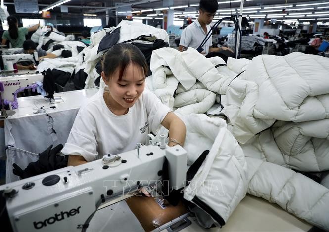 Hàn Quốc – Việt Nam tăng cường hợp tác đầu tư trong lĩnh vực dệt may - ảnh 1