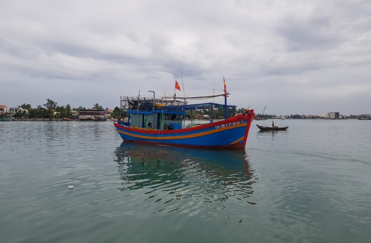 Ngư dân xã Tam Quang, tỉnh Quảng Nam vươn khơi, bám biển - ảnh 3