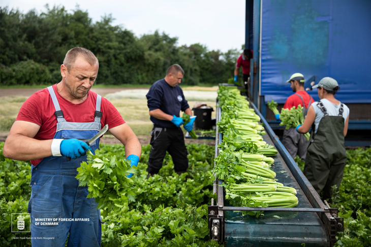 Đối thoại Đan Mạch - Việt Nam về sản xuất nông nghiệp thực phẩm xanh và tiết kiệm tài nguyên - ảnh 3