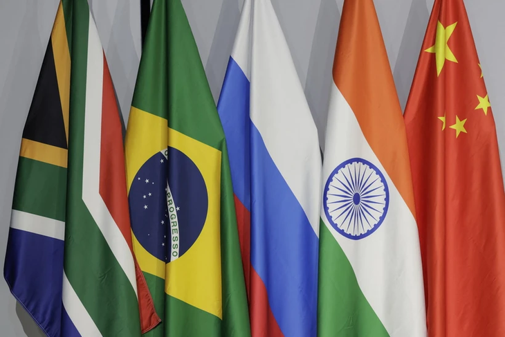 Tầm vóc và thách thức mới của BRICS sau mở rộng - ảnh 1