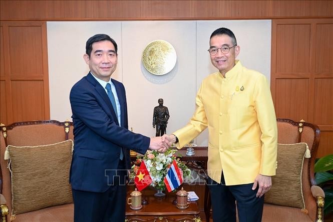Thái Lan luôn coi trọng quan hệ Đối tác chiến lược tăng cường với Việt Nam - ảnh 1