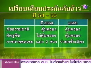 รัฐบาลไทยอนุมัติเบี้ยประกันการปลูกข้าว - ảnh 1