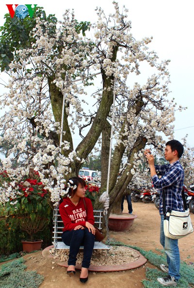 เยาวชนในกรุงฮานอยกับความนิยมถ่ายภาพในสวนดอกไม้ Nhật Tân ช่วงใกล้ตรุษเต๊ต - ảnh 6
