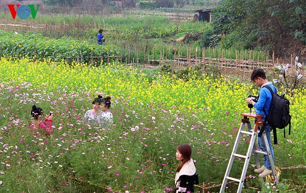 เยาวชนในกรุงฮานอยกับความนิยมถ่ายภาพในสวนดอกไม้ Nhật Tân ช่วงใกล้ตรุษเต๊ต - ảnh 5