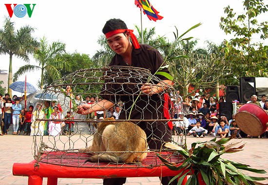 เทศกาลแห่งประเพณีการเลือกคู่ของหมู่บ้าน Đường Yên กรุงฮานอย - ảnh 10