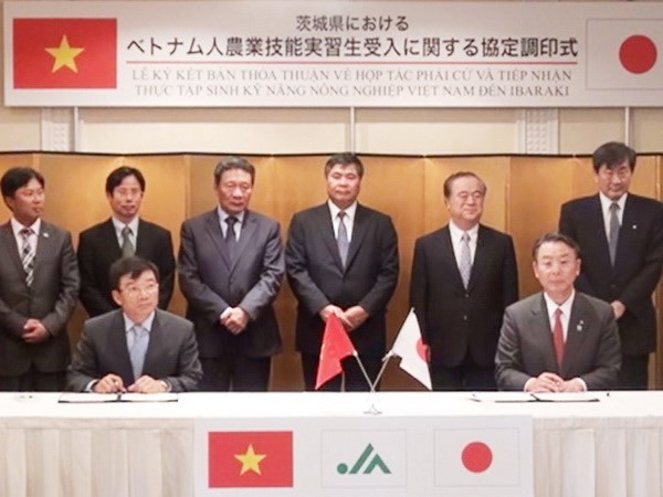 เวียดนาม-ญี่ปุ่นลงนามข้อตกลงความร่วมมือแลกเปลี่ยนนักศึกษาฝึกงานด้านการเกษตร - ảnh 1