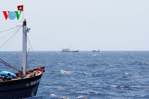 ชาวประมงภาคกลางเวียดนามมั่นใจออกทะเลจับปลาโดยไม่สนใจต่อการขัดขวางของเรือจีน - ảnh 8