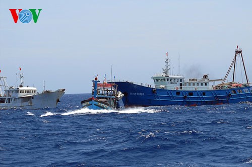ชาวประมงภาคกลางเวียดนามมั่นใจออกทะเลจับปลาโดยไม่สนใจต่อการขัดขวางของเรือจีน - ảnh 12