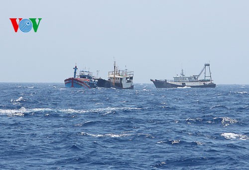 ชาวประมงภาคกลางเวียดนามมั่นใจออกทะเลจับปลาโดยไม่สนใจต่อการขัดขวางของเรือจีน - ảnh 13