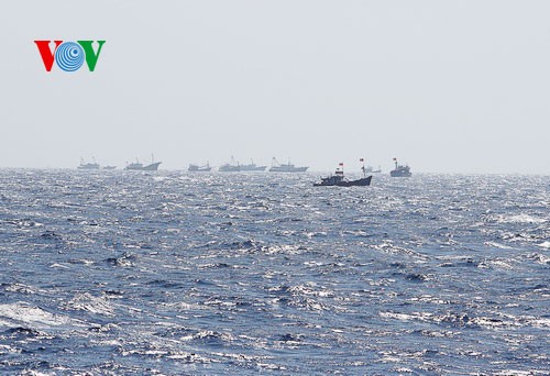 ชาวประมงภาคกลางเวียดนามมั่นใจออกทะเลจับปลาโดยไม่สนใจต่อการขัดขวางของเรือจีน - ảnh 14