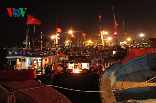 ชาวประมงภาคกลางเวียดนามมั่นใจออกทะเลจับปลาโดยไม่สนใจต่อการขัดขวางของเรือจีน - ảnh 2